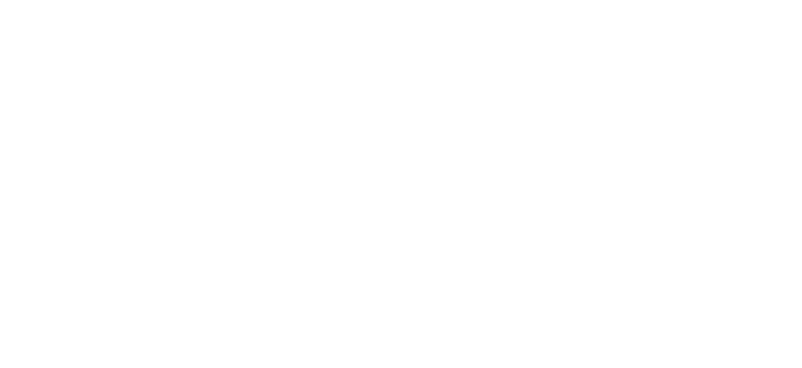 ￼