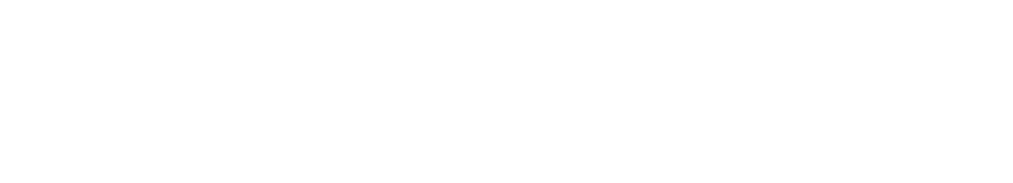 digital publishing